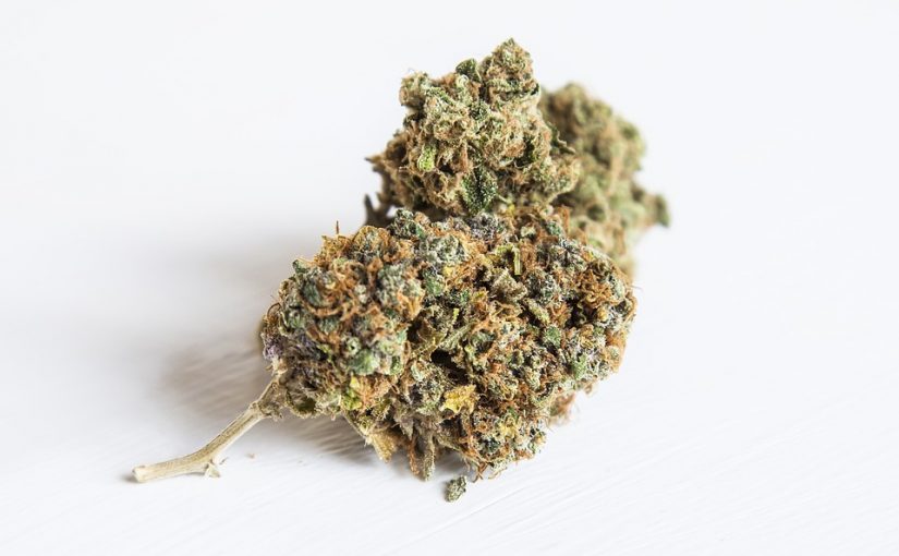 weed