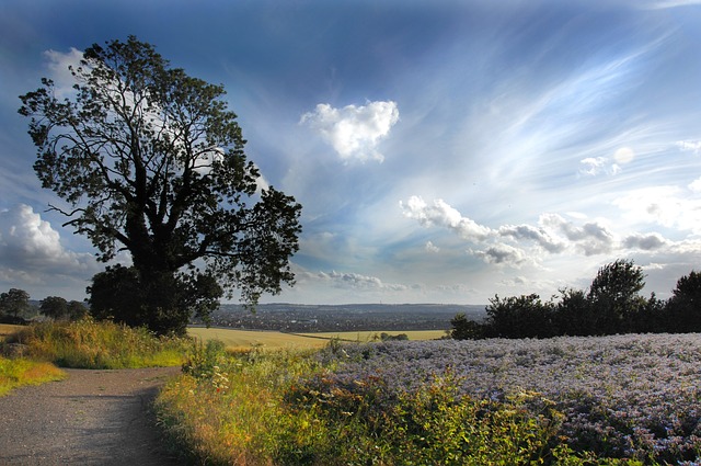 Drug and Alcohol Rehab Luton