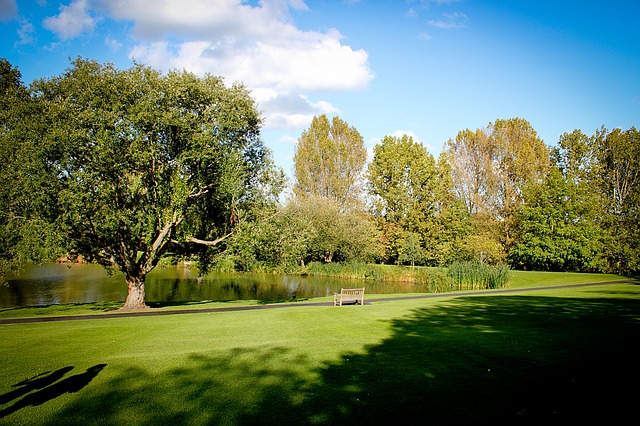 Drug and Alcohol Rehab Surrey