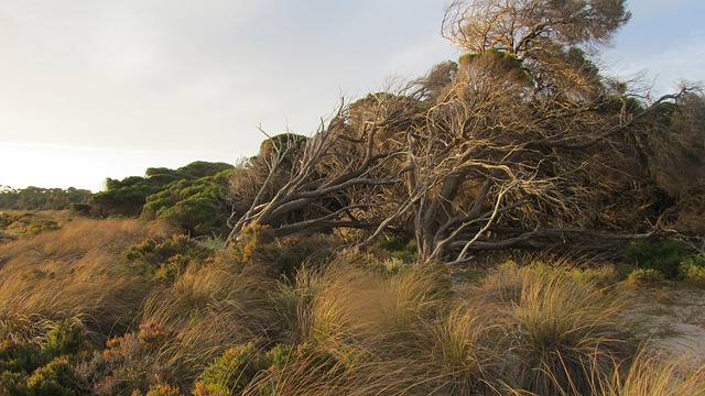 Drug and Alcohol Rehab Perth