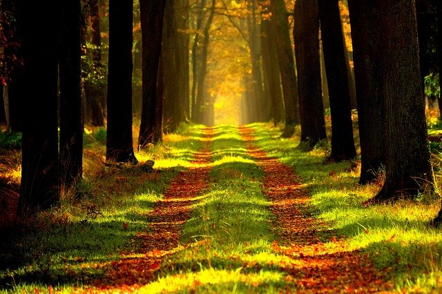 Drug and Alcohol Rehab Haverhill